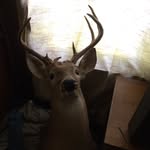 George Applegate - @gmapple2010 - Instagram