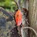 George Appleton - Facebook