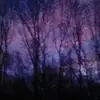George Appleton  - @georgeapp - TikTok