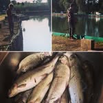 George Aslanian - @aslanian.george - Instagram