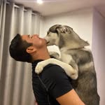 George Avalos - @george.avalosr - Instagram