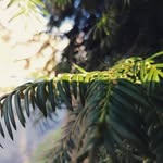 George Avalos - @georgeavalos713 - Instagram