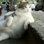 George Babbitt - @george_babbitt - Instagram