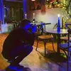 George Bach - @georgebach8 - TikTok