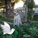 George Baier - Facebook