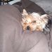 George Bair - Facebook