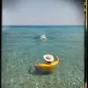 georgebairaktari5 - @georgebairaktari5 - TikTok