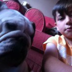 George Bamber - @bambergeorge - Instagram