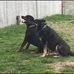 George Banta - Facebook