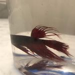 @george_banta_ - Instagram