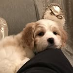 George Barkley - @george.barkley - Instagram
