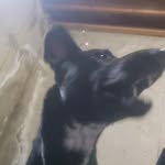 George - @_georgebarks - Instagram