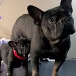 George Barks Jr. - @biggeo6971 - Instagram