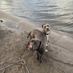 George Barnes - @george.barnes.9028 - Instagram