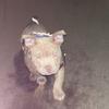 georgebarter - @georgebarter - TikTok