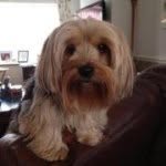 George Beckham - @georgebeckham - Instagram