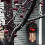 George Bednar - @gbednar1 - Instagram