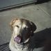 George Beeman - Facebook