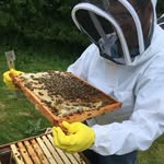 George M - @bee_man_george - Instagram