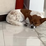 ありがとうございます - @george.beer.2006 - Instagram