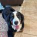 George Beer - Facebook