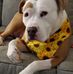 George Belton Jr - Facebook
