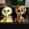 No - @george.and.benedict - TikTok