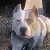 georgeberkley250 - @georgeberkley250 - TikTok