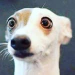 George - @georgebettini - Instagram