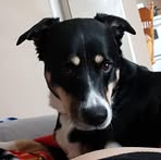 George Bickford - Facebook