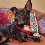 George J Bigler - @biglergeorge - Instagram