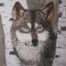 George Bills Art - Facebook