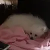 Georgebackup - @georgebills689 - TikTok