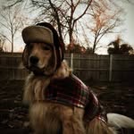 George Blaine - @cptn60 - Instagram