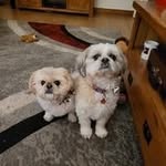 George Boag - @admgb1947 - Instagram