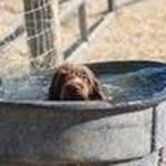 George Bock - @georgebock59 - Instagram