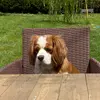 George boden - @g_j_boden121418 - TikTok