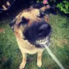georgeboden12 - @georgeboden124 - TikTok