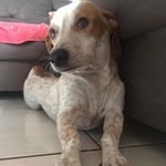@_george.bolinha06 - Instagram