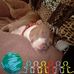 George Bonds - Facebook