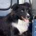 George Bonsall - Facebook