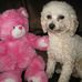 George Bostick - Facebook