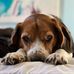 George Bartlam Bowker - Facebook