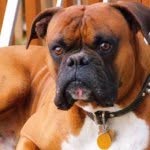 George Big-love Miller - @george.boxer - Instagram