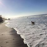 George Branch - @gb3 - Instagram
