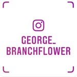 georgebranchflower - @george_branchflower - Instagram