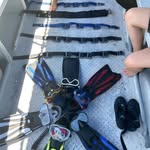 George Braswell - @braswell9324 - Instagram