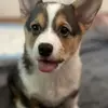George Brick - @george.brick5 - TikTok