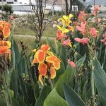 George Brush - @geor.gebrush - Instagram