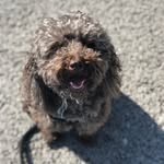 George Buckminster - @surpriseitsgeorge - Instagram